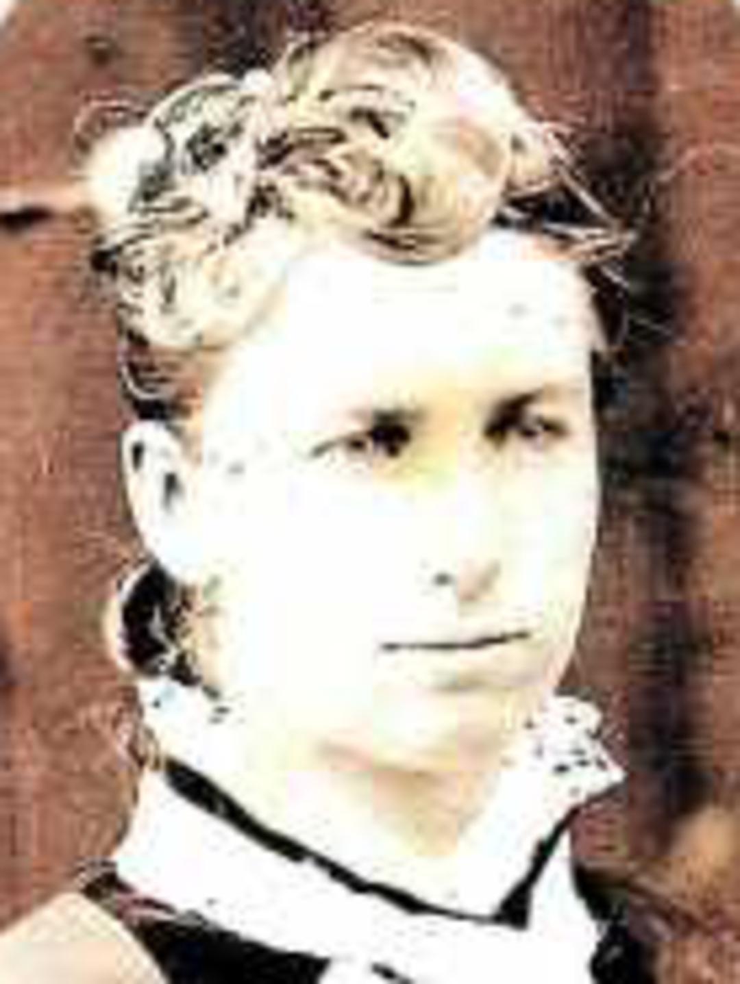 Alice Harrison (1845 - 1933) Profile